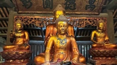 Du lịch khám phá di sản, theo dấu Phật hoàng
