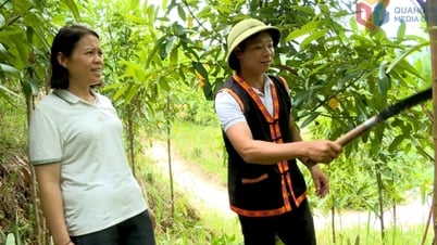 Triển khai hiệu quả chính sách an sinh xã hội 