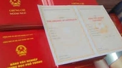 Phó chủ tịch hội võ thuật dùng bằng THPT giả