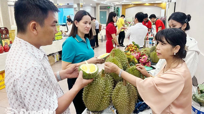 Hội chợ triển lãm công thương vùng Đông Nam Bộ - Đồng Nai sẽ diễn ra vào tháng 8-2025