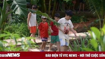 Trại hè ám ảnh nhưng trẻ bị ép viết cảm nhận 'tuyệt vời'