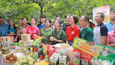 'Gian hàng sản phẩm Thái Nguyên' trên Shopee quy tụ trên 5.000 nhà bán