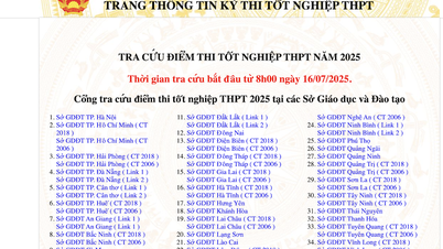 Thí sinh tra cứu điểm thi tốt nghiệp trung học phổ thông ở đâu?