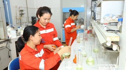 Cơ hội việc làm cho lao động từ 18 - 45 tuổi tại Công ty cổ phần Xi măng Sông Lam