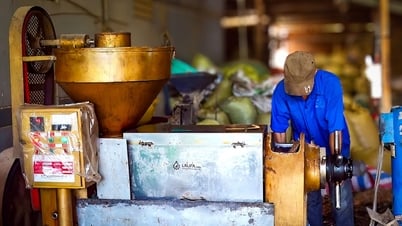 Dầu ăn đậu phộng... lên ngôi