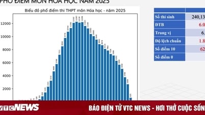 Số thí sinh đạt điểm 10 môn Hoá tốt nghiệp giảm một nửa