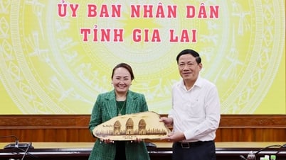 AgriS đề xuất xây viện nghiên cứu và nông trường kiểu mẫu tại Gia Lai