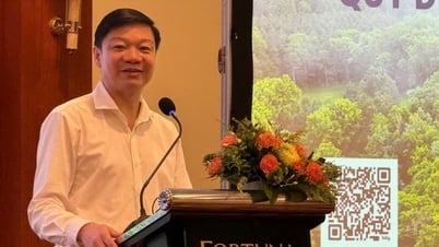 Bước tiến mới trong hoàn thiện thể chế thị trường carbon