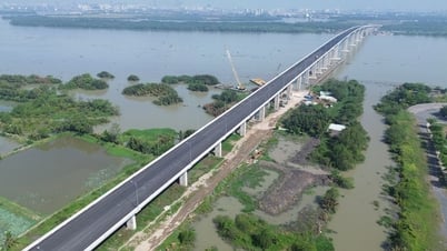 Tổng hợp thông tin báo chí liên quan đến TP. HCM ngày 15/7/2025