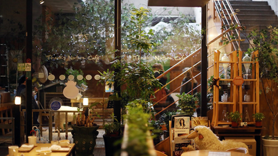 Khám phá xu hướng ẩm thực Hàn Quốc mới: Pet café & dessert sáng tạo lên ngôi