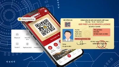 Thông tin về việc cập nhật giấy phép lái xe trên VNeID