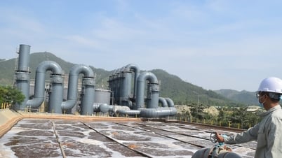 Đà Nẵng đầu tư thu gom, xử lý nước thải bảo vệ môi trường