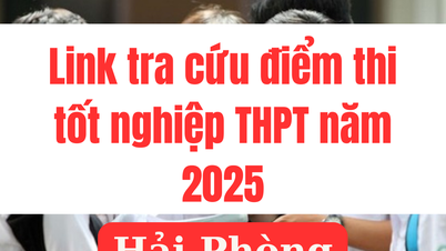 Link tra cứu điểm thi tốt nghiệp THPT 2025 tại Hải Phòng nhanh nhất