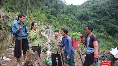 Bảo tồn đa dạng sinh học gắn với phát triển sinh kế bền vững