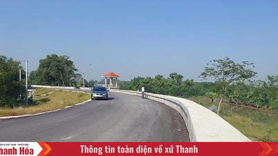 Chủ động ứng phó sự cố đê điều, hồ đập trong mùa mưa, bão