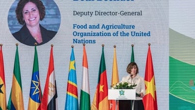 FAO đánh giá cao chương trình OCOP của Việt Nam