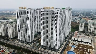 Chỉ mất 22 ngày giải quyết thủ tục giao chủ đầu tư làm nhà ở xã hội