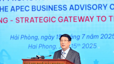 Cải cách mạnh mẽ thể chế để thu hút nhà đầu tư chiến lược