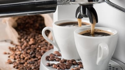 Giá cà phê hôm nay 15/7: Giảm giá ngày càng sâu