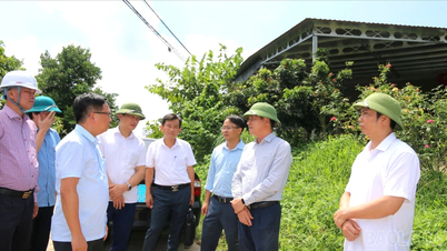 Phó Chủ tịch UBND tỉnh Ngô Hạnh Phúc chỉ đạo giải quyết dứt điểm các "điểm nghẽn", đẩy nhanh tiến độ Dự án đường dây 500kV