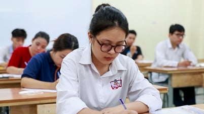 Phổ điểm môn Tiếng Anh tốt nghiệp THPT 2025 khác biệt thế nào so với năm trước?