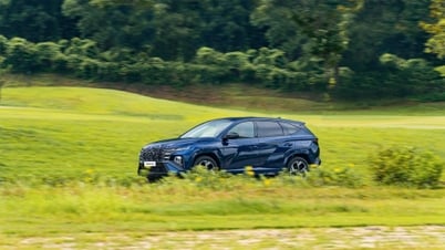 TC Group thông báo kết quả bán hàng Hyundai tháng 6/2025
