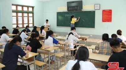 Sơn La thuộc top 10 tỉnh có điểm trung bình môn Tin học cao nhất cả nước trong kỳ thi tốt nghiệp THPT 2025