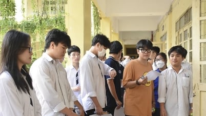 Điểm thi tốt nghiệp THPT 2025 tại An Giang: Link tra cứu chính xác nhất