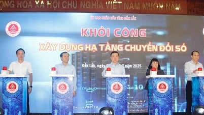 Đắk Lắk tăng tốc chuyển đổi số với 100 ngày cao điểm ‘Bình dân học vụ số’