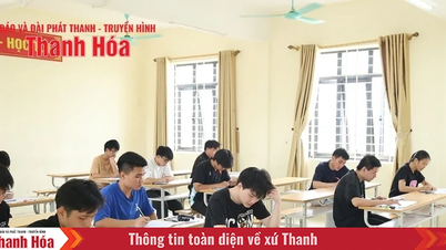 Thi tốt nghiệp THPT 2025: Thanh Hóa có 7 môn thi nhiều điểm 10 nhất cả nước