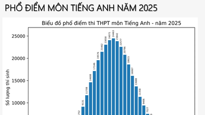 Phổ điểm Tiếng Anh thi tốt nghiệp THPT năm 2025 đẹp, cân đối