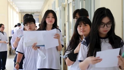 Điểm thi tốt nghiệp THPT 2025 tại Quảng Ninh: Link tra cứu chính xác nhất