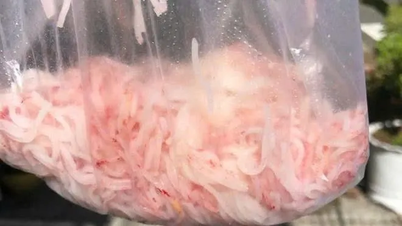Vụ bún đổi màu bất thường ở Đà Nẵng: Không phát hiện hóa chất độc hại