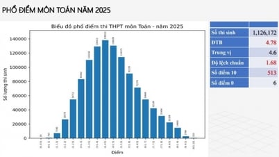 Phổ điểm môn Toán thi tốt nghiệp THPT 2025, những tỉnh thành có điểm môn Toán cao nhất