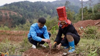 Những chuyển động tích cực từ Nghị quyết 06-NQ/TU