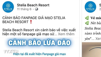 Đắk Lắk: Cảnh báo tình trạng giả mạo cơ sở lưu trú du lịch để lừa đảo
