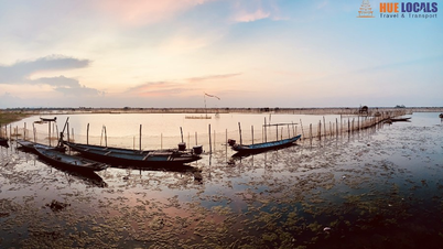 Khám phá sự quyến rũ của Đầm Chuồn cùng Hue Locals Travel