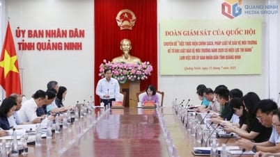 Đoàn giám sát của Quốc hội giám sát công tác bảo vệ môi trường tại Quảng Ninh