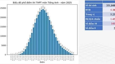 Bộ GD-ĐT: Phổ điểm môn tiếng Anh đẹp là một bất ngờ