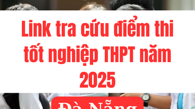 Link tra cứu điểm thi tốt nghiệp THPT 2025 tại Đà Nẵng nhanh nhất