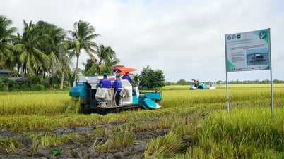 Ngành nông nghiệp phấn đấu để đạt mục tiêu tăng trưởng và phát triển bền vững