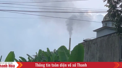 Công an tỉnh vào cuộc vụ người dân phản ánh nhà máy phân bón gây ô nhiễm