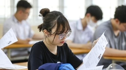 Phổ điểm môn Lịch sử thi tốt nghiệp THPT năm 2025