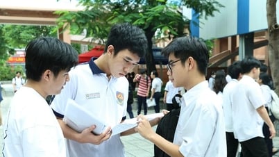 Điểm thi tốt nghiệp THPT 2025 tại Ninh Bình: Link tra cứu chính xác nhất
