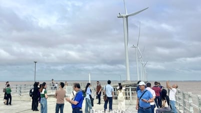 Bạc Liêu: Hai đơn vị được tuyên dương có đóng góp xuất sắc cho sự phát triển du lịch vùng