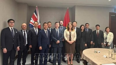 Việt Nam - Vương quốc Anh tăng cường hợp tác kinh tế-thương mại