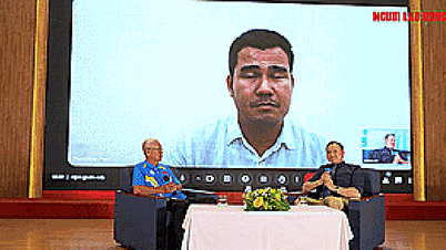 Chuyên gia bóng đá nhận định gì về tuyển Việt Nam tại giải U23 Đông Nam Á 2025?