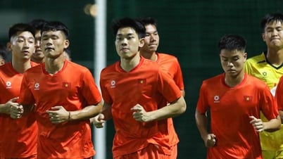 U23ベトナムは東南アジア選手権のタイトル防衛に全力を尽くしていたが、事件に遭遇した。