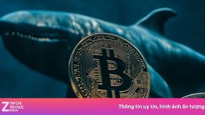 ‘Cá voi tiền sử’ thức giấc làm Bitcoin sập giá
