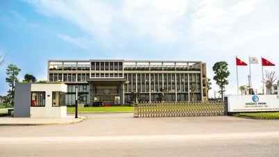Lien Ha Thai Industrial Park welcomes new investment wave from Chinese enterprises